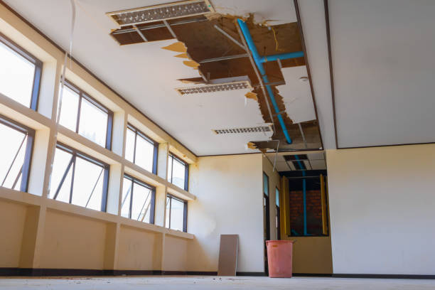 Best Flooded house restoration  in Bridgeport, NY