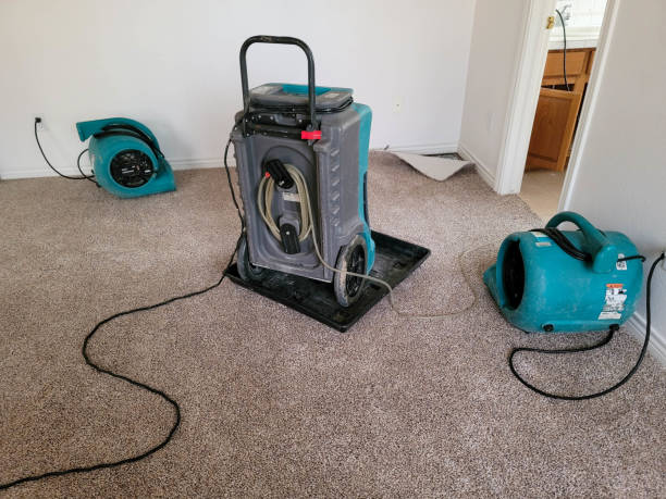 Best Water damage cleanup near me  in Bridgeport, NY