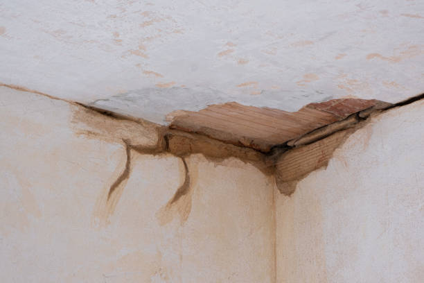 Best Water damage cleanup near me  in Bridgeport, NY