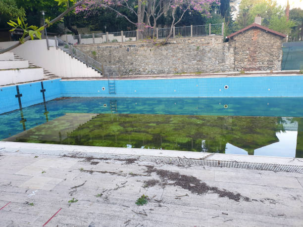Best Flood restoration services  in Bridgeport, NY