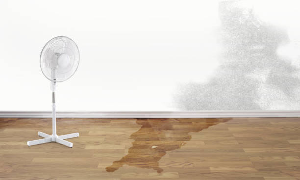 Best Water damage restoration specialists  in Bridgeport, NY