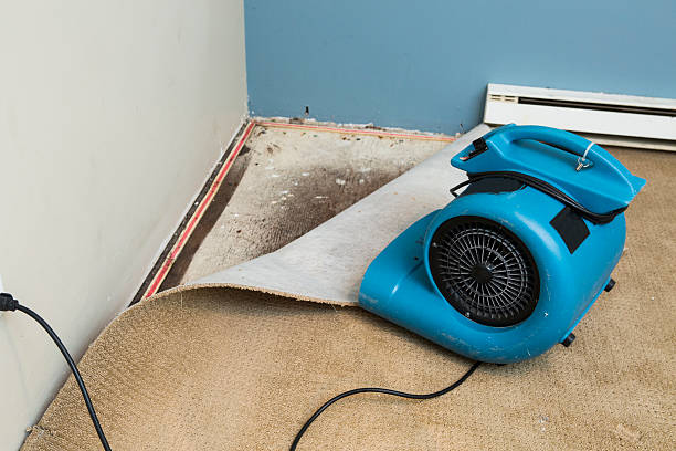 Best Water damage restoration cost  in Bridgeport, NY